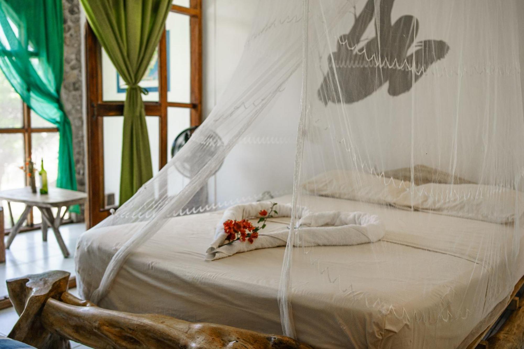 Lobo Hostel - Rurrenabaque (Adults Only) Esterno foto