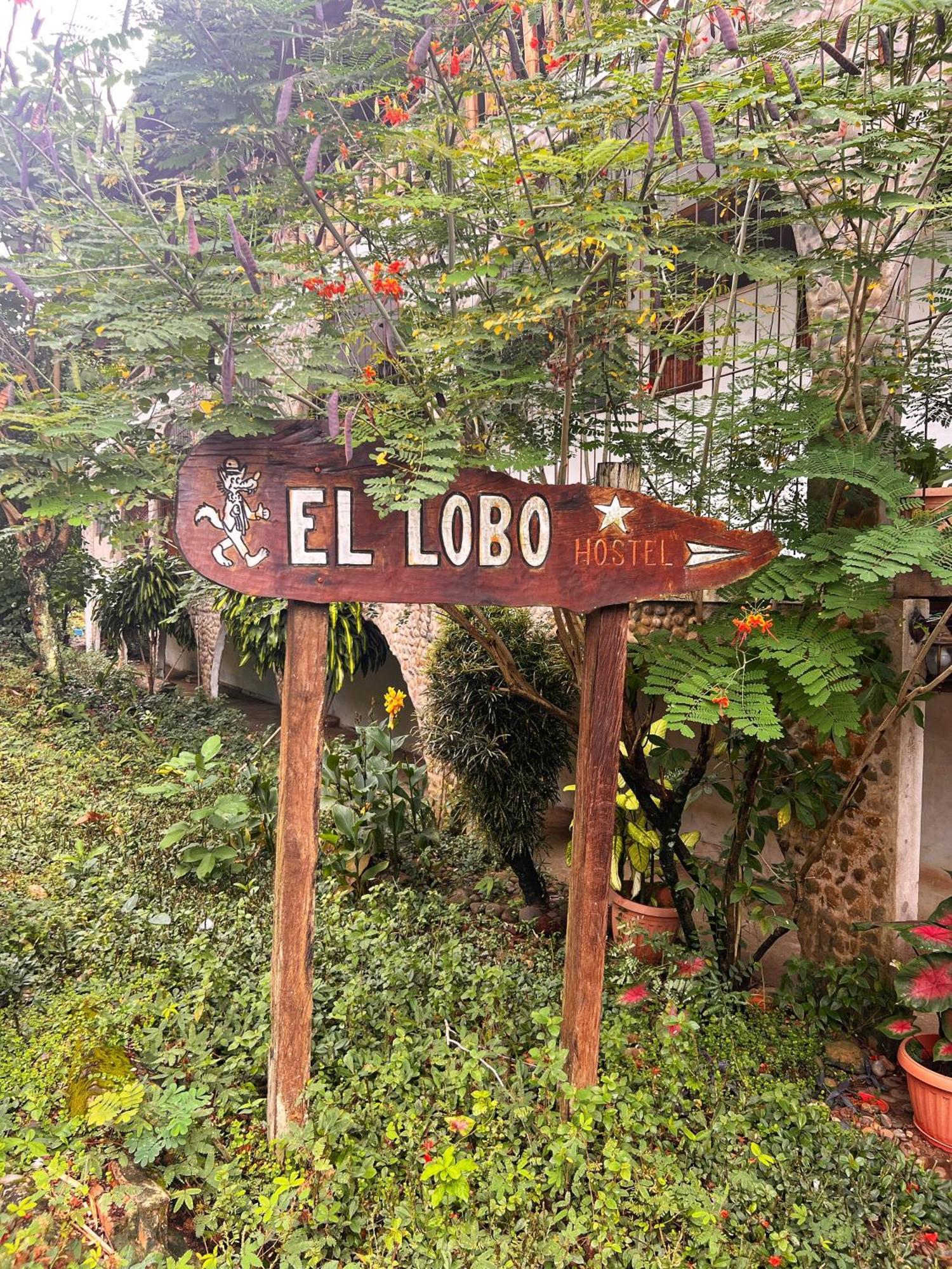 Lobo Hostel - Rurrenabaque (Adults Only) Esterno foto